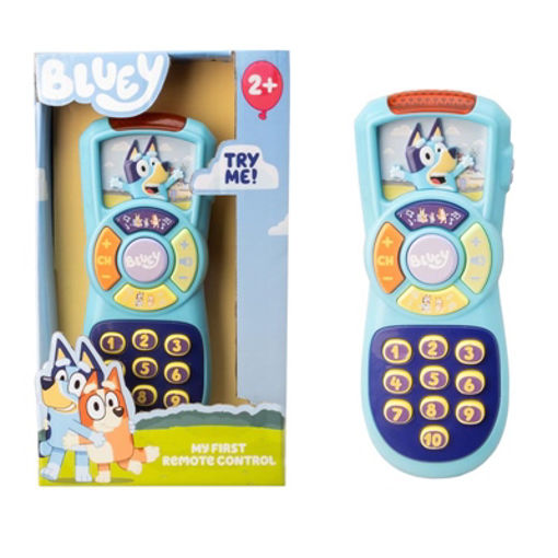 Picture of Blueys Remote Control